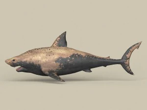 game ready shark 3D Model