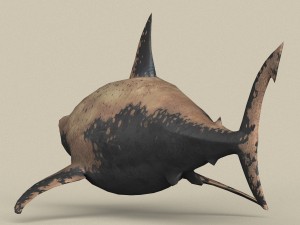 game ready shark Model 3D