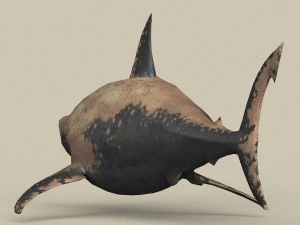 game ready shark 3D Model