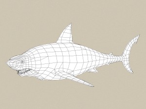 game ready shark Model 3D