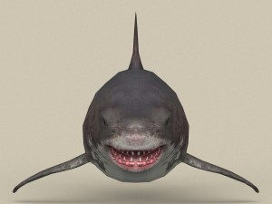game ready white shark 3D मॉडल