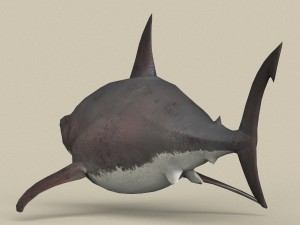 game ready white shark 3D मॉडल