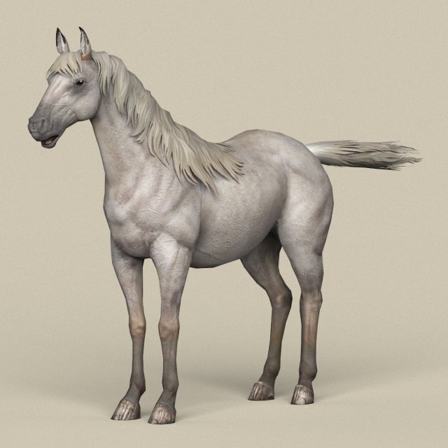game ready white horse Model 3D .c4d .max .obj .3ds .fbx .stl .blend 