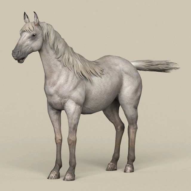 game ready white horse 3D Model .c4d .max .obj .3ds .fbx .stl .blend 