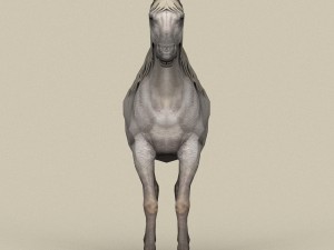game ready white horse Model 3D
