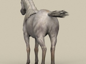 game ready white horse Model 3D