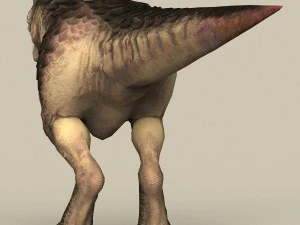 game ready dinosaur trex 3D Model