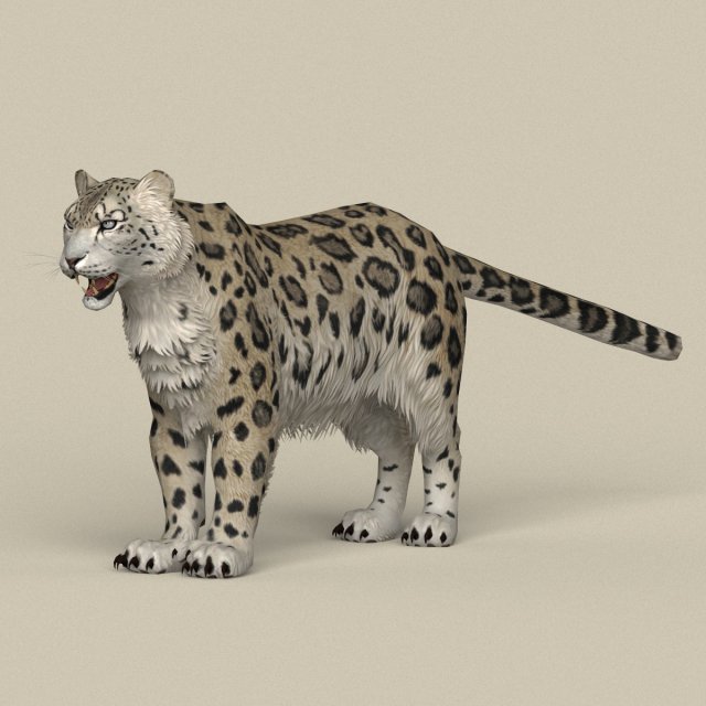 game ready snow leopard Modèle 3D .c4d .max .obj .3ds .fbx .stl .blend 