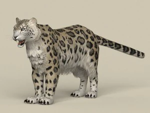 leopardo delle nevi pronto per il gioco Modello 3D