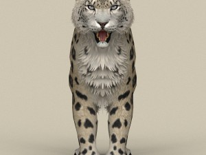 game ready snow leopard Modèle 3D