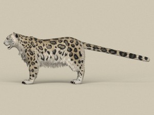 game ready snow leopard Modèle 3D