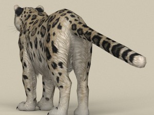 game ready snow leopard Modèle 3D