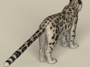 game ready snow leopard Modèle 3D