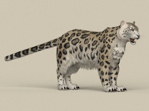 game ready snow leopard Modèle 3D