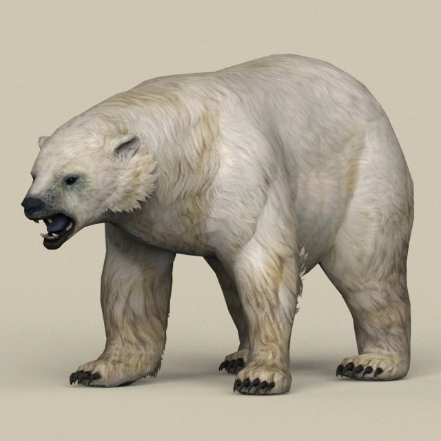 orso polare pronto per il gioco Modello 3D .c4d .max .obj .3ds .fbx .stl .blend