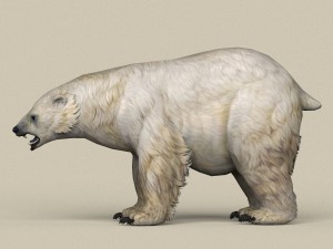 game ready polar bear 3D Model