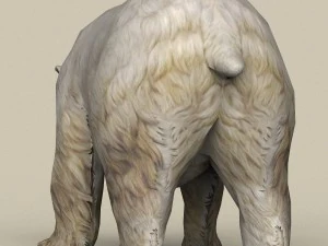 orso polare pronto per il gioco Modello 3D