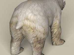 game ready polar bear 3D Model