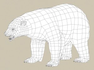 orso polare pronto per il gioco Modello 3D