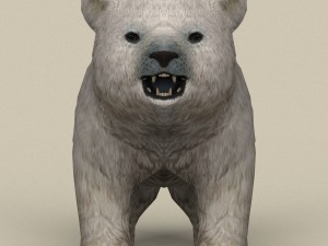 game ready polar bear cub Model 3D