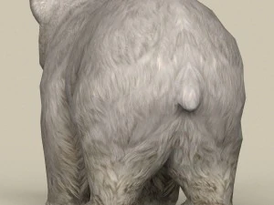 game ready polar bear cub 3D Model