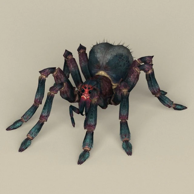 game ready spider 3D Model .c4d .max .obj .3ds .fbx .stl .blend