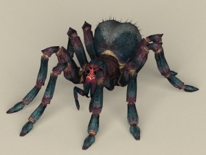 game ready spider 3D Model