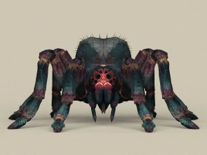 game ready spider 3D Model