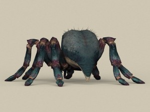 game ready spider 3D 模型