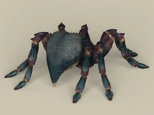 game ready spider 3D Model