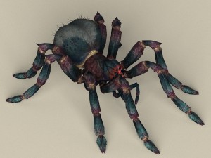 game ready spider 3D 模型
