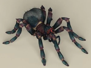 game ready spider 3D Model