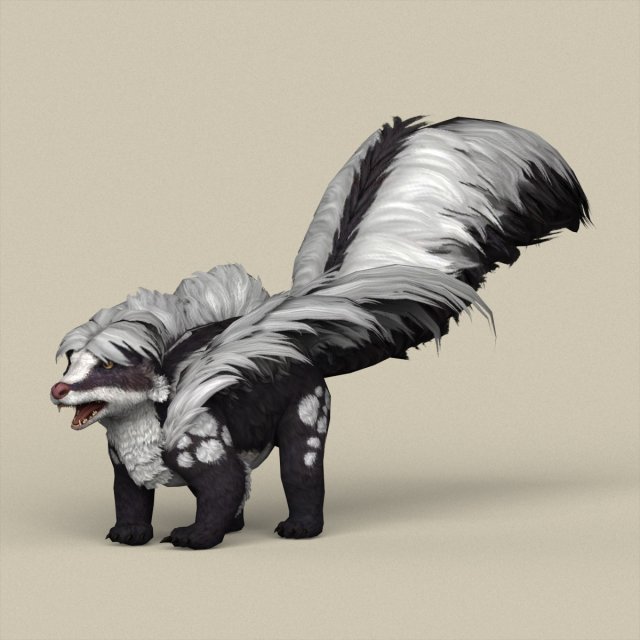 game ready animal skunk Modelo 3D .c4d .max .obj .3ds .fbx .stl .blend 