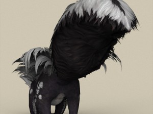 game ready animal skunk Modelo 3D