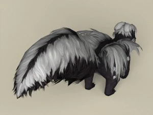 game ready animal skunk 3D Model