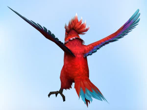 fantazja papuga Model 3D