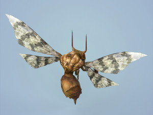 fantasy monster bee Modèle 3D