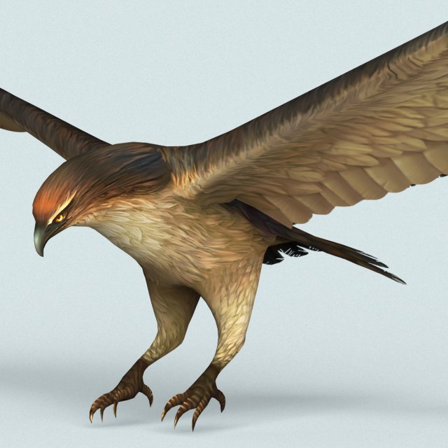 game ready eagle 3D मॉडल .c4d .max .obj .3ds .fbx .stl .blend 