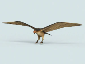 game ready eagle 3D Model
