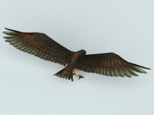 game ready eagle 3D मॉडल