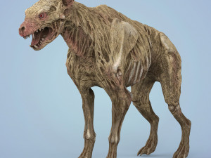 fantasy zombie hyena 3D Model
