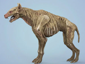 fantasy zombie hyena 3D Model