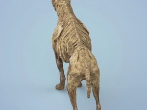 fantasy zombie hyena Model 3D