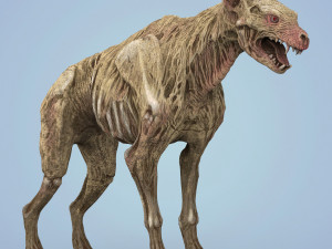 fantasy zombie hyena Model 3D