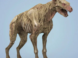 fantasy zombie hyena 3D Model