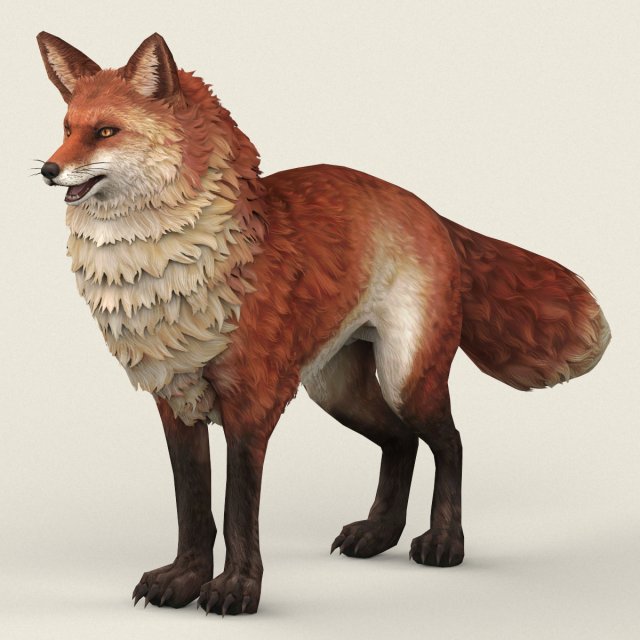 game ready red fox 3D 模型 .c4d .max .obj .3ds .fbx .stl .blend 