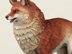 game ready red fox 3D Model