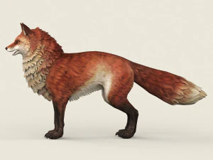 game ready red fox 3D Model
