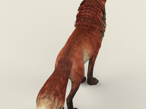 game ready red fox 3D 模型