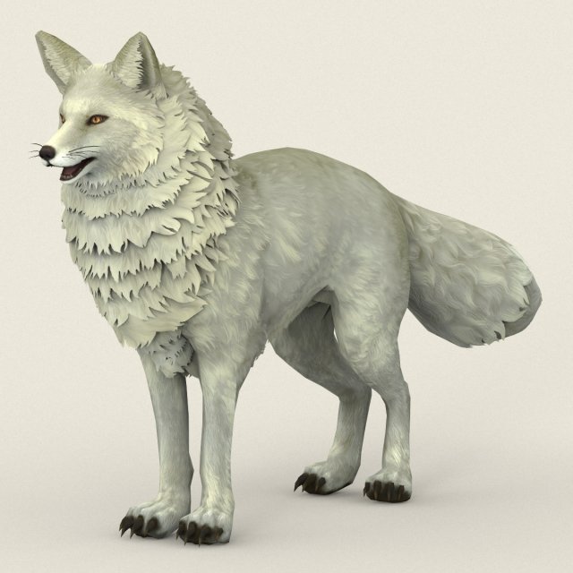 game ready white fox Modelo 3D .c4d .max .obj .3ds .fbx .stl .blend 